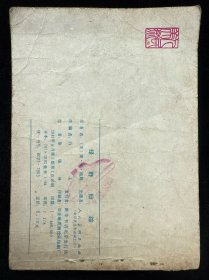 绿野仙踪