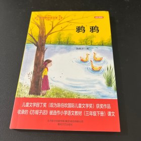 大作家的语文课：鸦鸦
