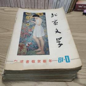 北京文学1981年1-12（缺第9期）共11本