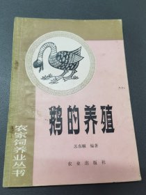 鹅的养殖