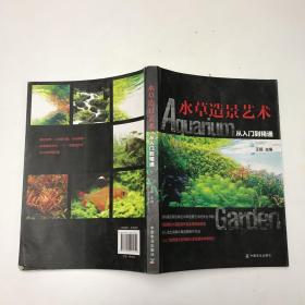 水草造景艺术：从入门到精通