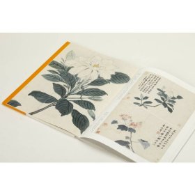 中国绘画名品：沈周绘画名品 9787547926581