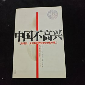 中国不高兴：大时代大目标及我们的内忧外患