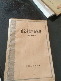 社会主义经济问题（试用本）