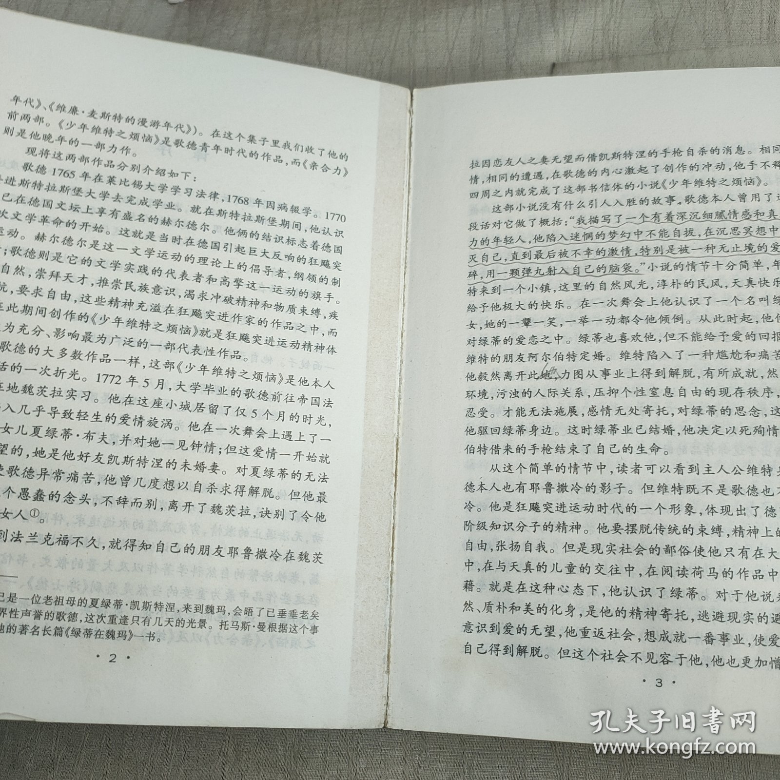 少年维特之烦恼