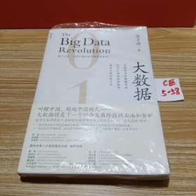 大数据：正在到来的数据革命，以及它如何改变政府、商业与我们的生活