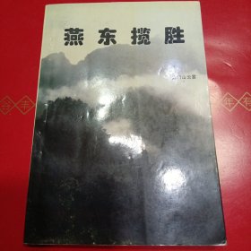 燕东揽胜