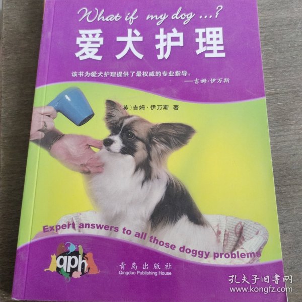 爱犬护理