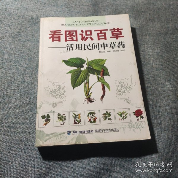 看图识百草：活用民间中草药