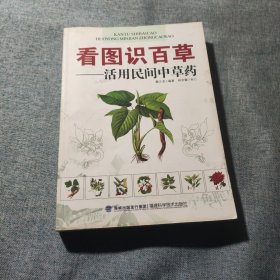 看图识百草：活用民间中草药