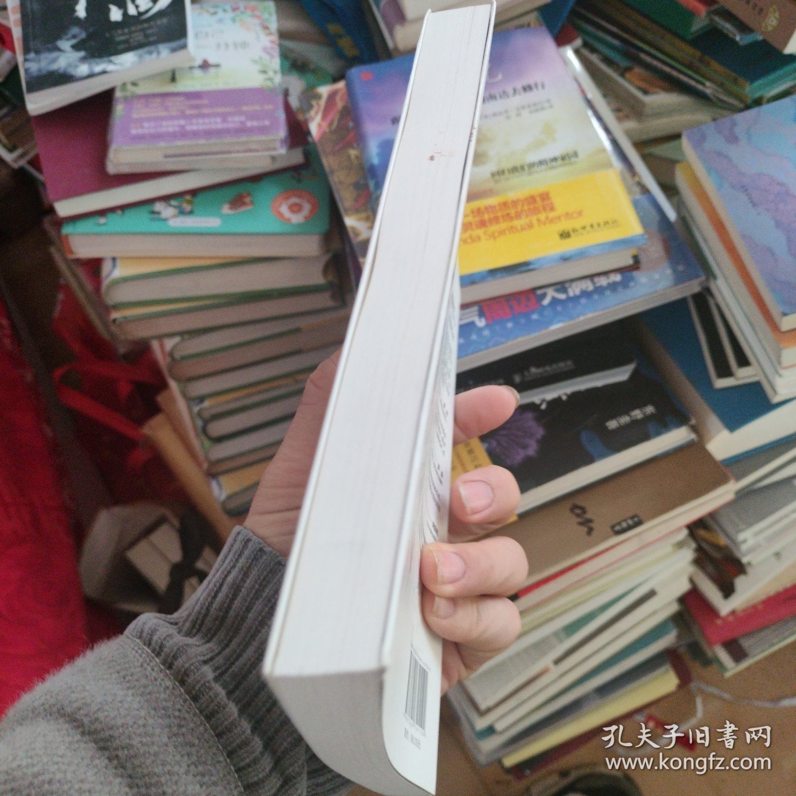 纳瓦尔宝典：从白手起家到财务自由，硅谷知名天使投资人纳瓦尔智慧箴言录