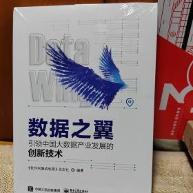 数据之翼引领中国大数据产业发展的创新技术。