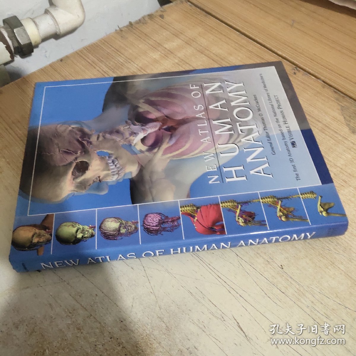 New Atlas of Human Anatomy  新编人体解剖学图谱