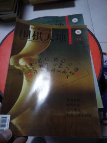 围棋天地 2010年第13期