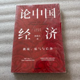 论中国经济：挑战、底气与后劲