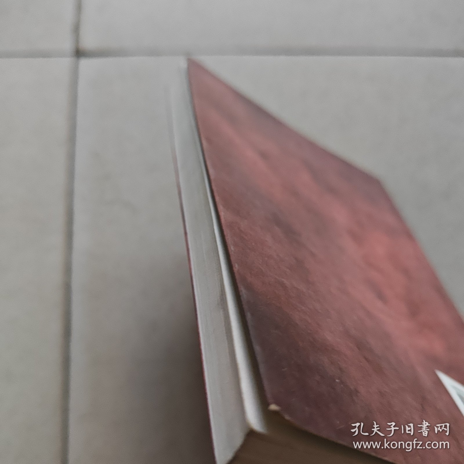 科学发展观的人学审视