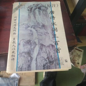 原注唐诗宋词三百首