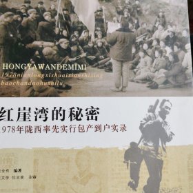 红崖湾的秘密(1978年陇西率先实行包产到户实录)