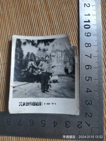 老照片：71年背军挎女青年北京动物园留影（尺寸见钢板尺）