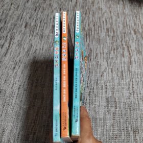 大中华寻宝系列 澳门寻宝记 福建寻宝记 海南寻宝记（3本合售）