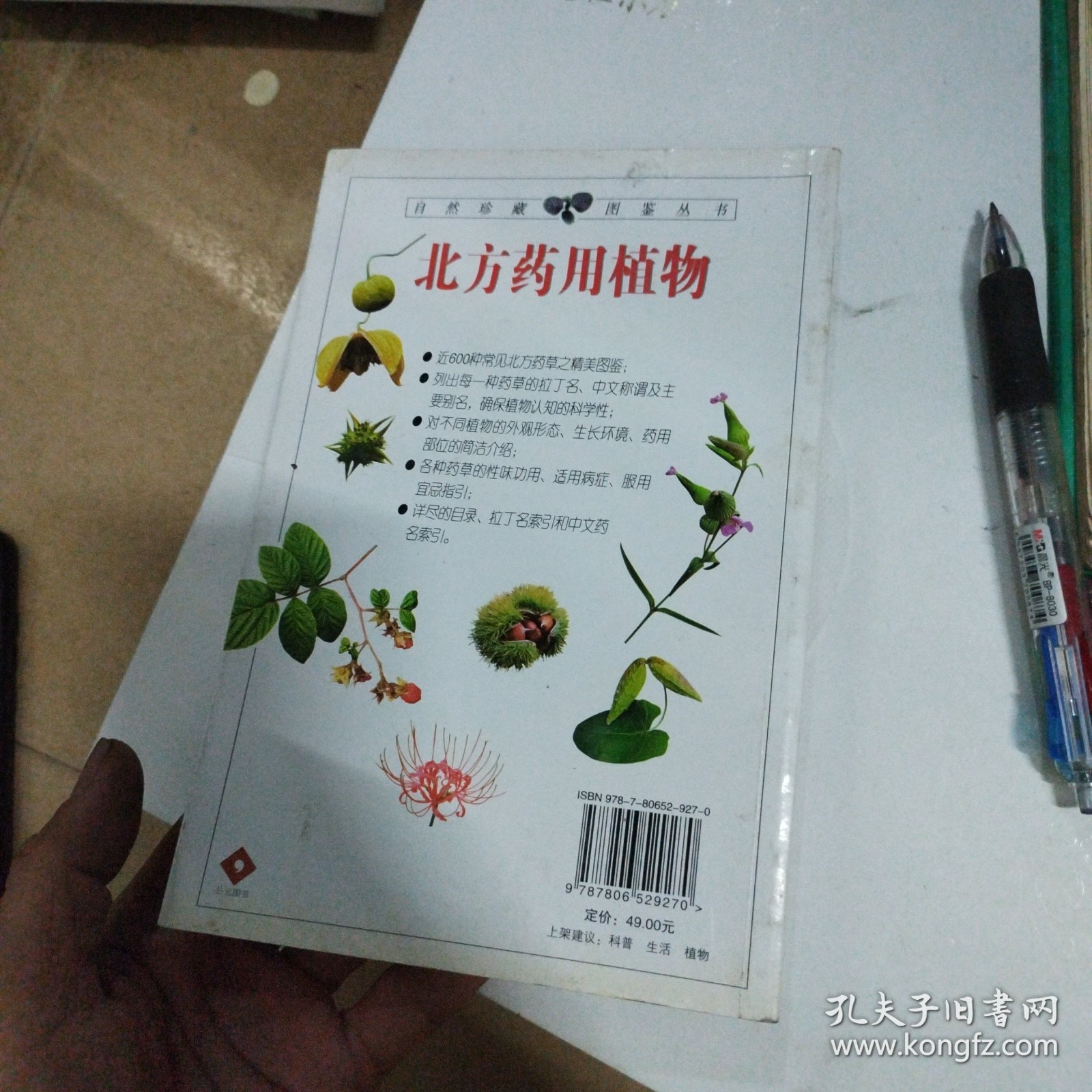 北方药用植物：近600种中国北方药用植物的彩色图鉴