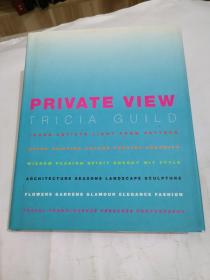 PRIVATE VIEW（私人视角，英文原版）