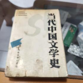 当代中国文学史