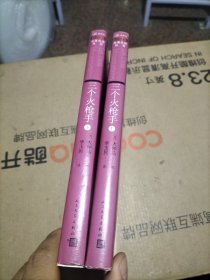 文学名家名著：三个火枪手（套装上下册）/插图本名著名译丛书