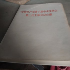 ，中国共产党第十届中央委员会第三次全体会议公报，