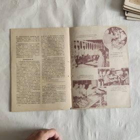 中国青年杂志 1963年第19期