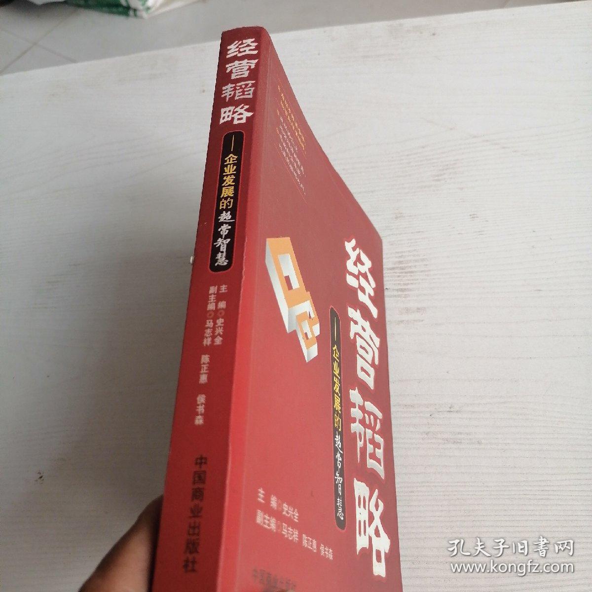经营韬略—企业发展的超常智慧