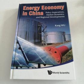 energy economy in China