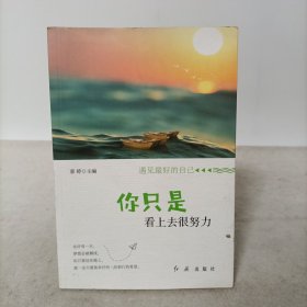 遇见最好的自己——你只是看上去很努力