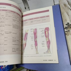 肌肉力量训练解剖图谱（新版）