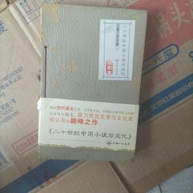 二十世纪中小说与文化