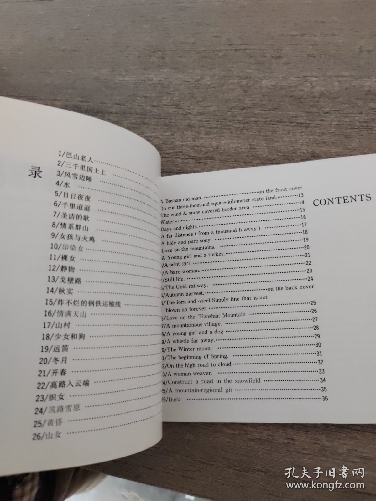 路巨鼎油画作品选