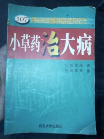 小草药治大病【107种大小病症的治疗汉方