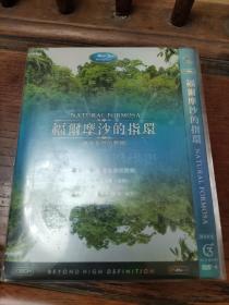 福尔摩沙的指环(DVD)