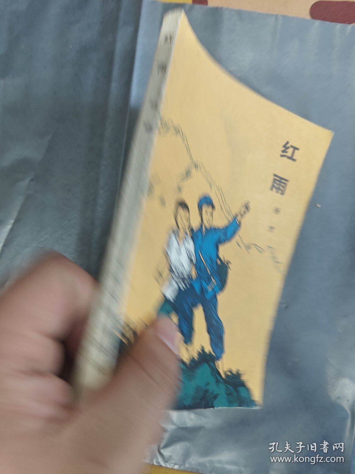 红雨1973年一版一印