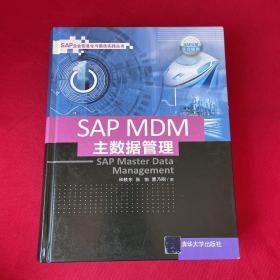 SAP MDM 主数据管理