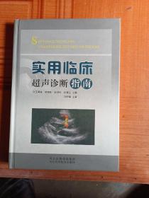 实用临床超声诊断指南