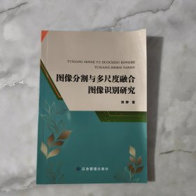 图像分割与多尺度融合图像识别研究