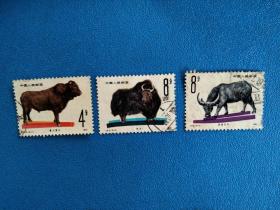 信销票:T63蓄牧牛邮票三枚