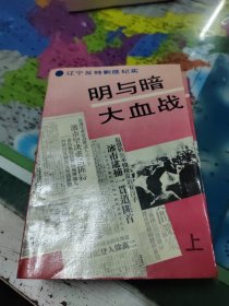 明与暗大血战:辽宁反特剿匪纪实上下