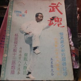 武魂1996