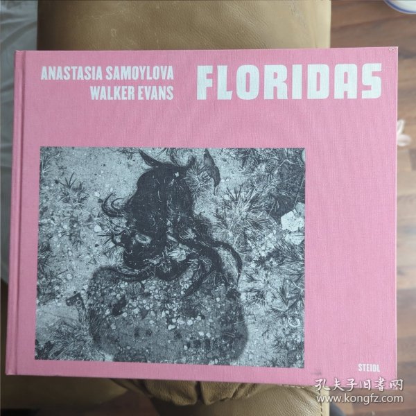 佛罗里达 Anastasia Samoylova,Walker Evans: Floridas 英文原版进口艺术摄影集画册