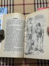 【英文】【儿童读物】STRIDER + SOCKS + Muggie Maggie（插画本） 3本合售 品相自鉴