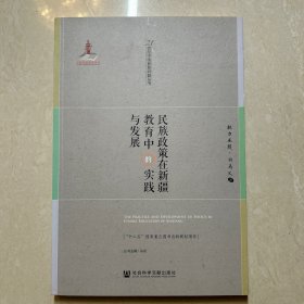 民族政策在新疆教育中的实践与发展