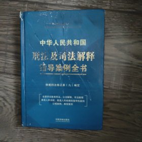 中华人民共和国刑法及司法解释指导案例全书：根据刑法修正案（九）编定