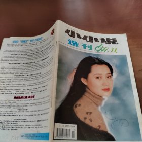 小小说选刊  1999  11